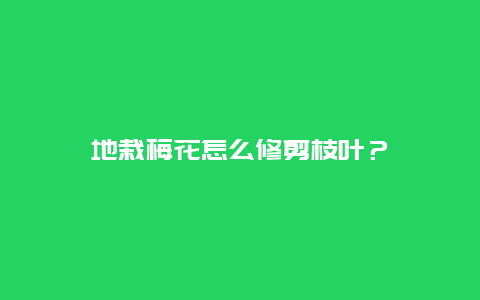 地栽梅花怎么修剪枝叶？