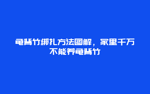 龟背竹绑扎方法图解，家里千万不能养龟背竹