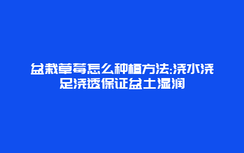 盆栽草莓怎么种植方法:浇水浇足浇透保证盆土湿润