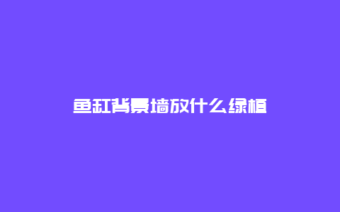 鱼缸背景墙放什么绿植