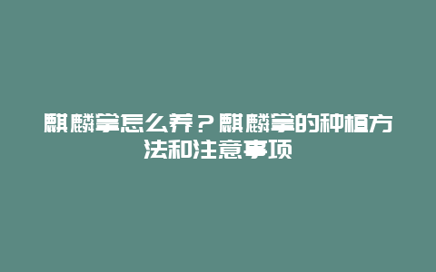 麒麟掌怎么养？麒麟掌的种植方法和注意事项