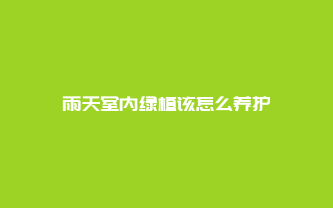 雨天室内绿植该怎么养护