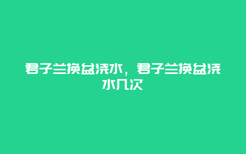 君子兰换盆浇水，君子兰换盆浇水几次