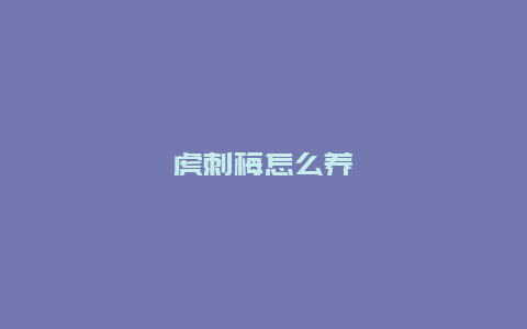 虎刺梅怎么养