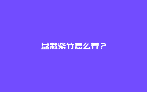 盆栽紫竹怎么养？