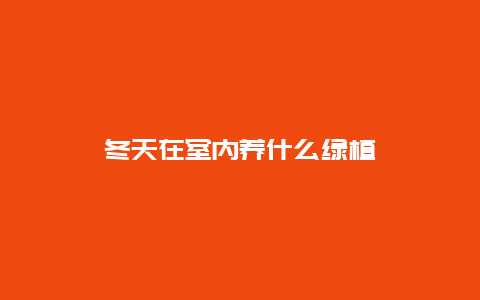 冬天在室内养什么绿植