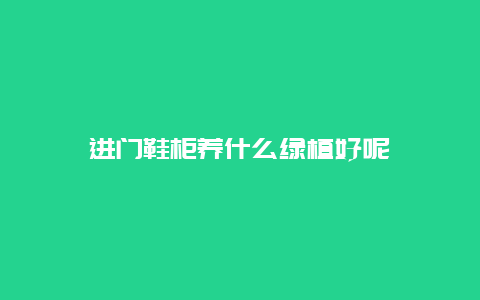 进门鞋柜养什么绿植好呢