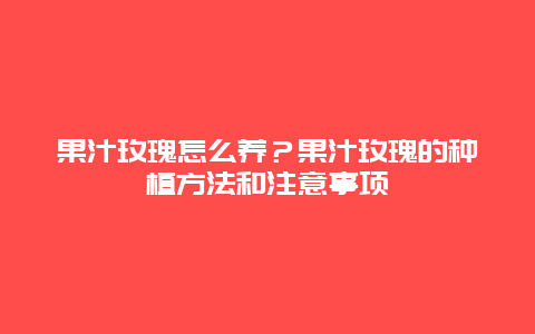 果汁玫瑰怎么养？果汁玫瑰的种植方法和注意事项