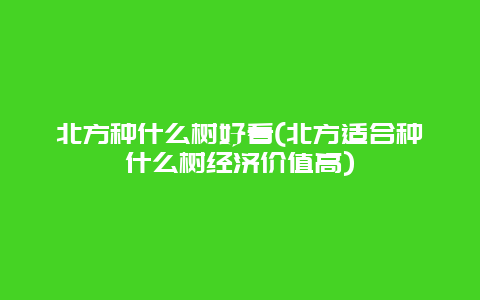 北方种什么树好看(北方适合种什么树经济价值高)