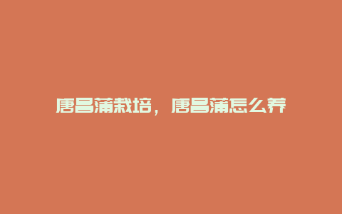 唐昌蒲栽培，唐昌蒲怎么养