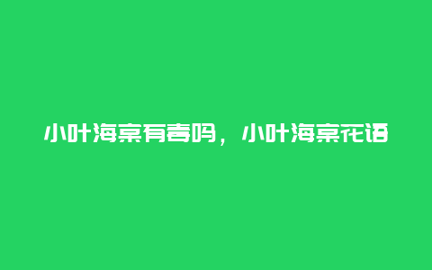 小叶海棠有毒吗，小叶海棠花语