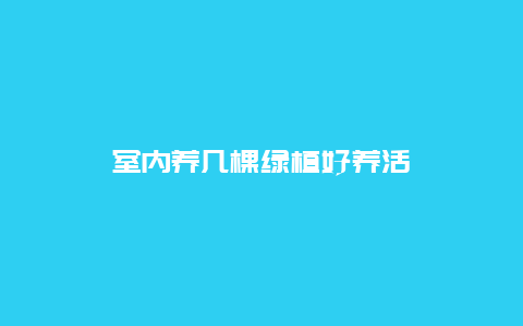 室内养几棵绿植好养活