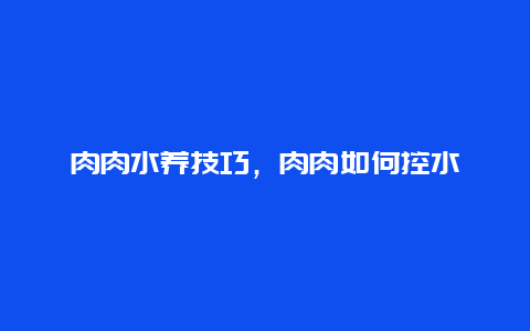 肉肉水养技巧，肉肉如何控水