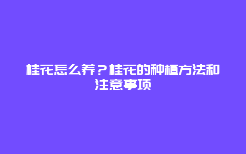 桂花怎么养？桂花的种植方法和注意事项