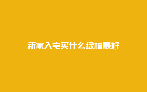 新家入宅买什么绿植最好