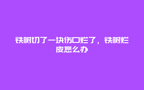 铁树切了一块伤口烂了，铁树烂皮怎么办