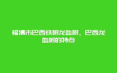 福清市巴西铁树龙血树，巴西龙血树的特点