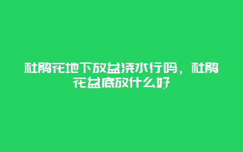 杜鹃花地下放盆浇水行吗，杜鹃花盆底放什么好