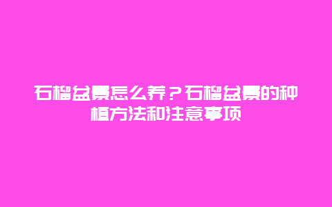 石榴盆景怎么养？石榴盆景的种植方法和注意事项