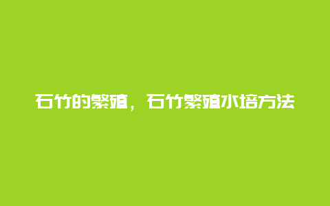 石竹的繁殖，石竹繁殖水培方法