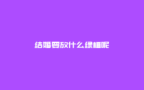 结婚要放什么绿植呢