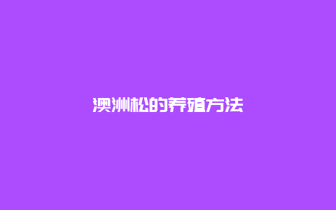 澳洲松的养殖方法