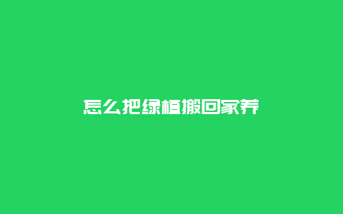 怎么把绿植搬回家养