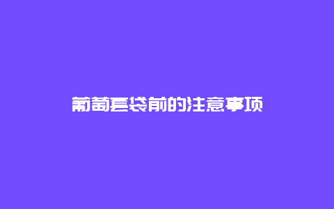 葡萄套袋前的注意事项