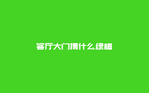 客厅大门摆什么绿植