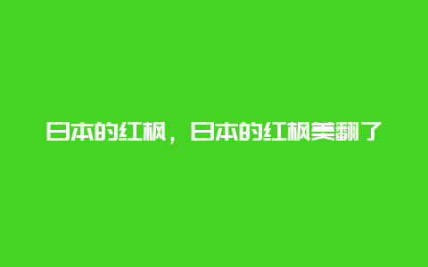 日本的红枫，日本的红枫美翻了