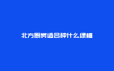 北方厨房适合种什么绿植