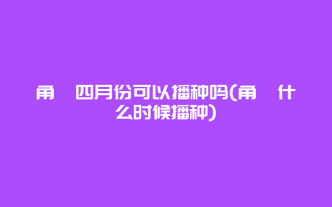 角堇四月份可以播种吗(角堇什么时候播种)