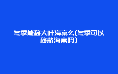 冬季能移大叶海棠么(冬季可以移栽海棠吗)