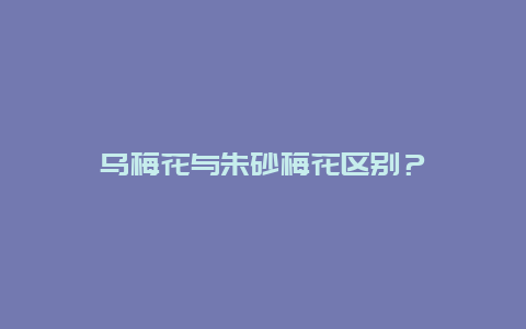 乌梅花与朱砂梅花区别？