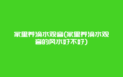 家里养滴水观音(家里养滴水观音的风水好不好)