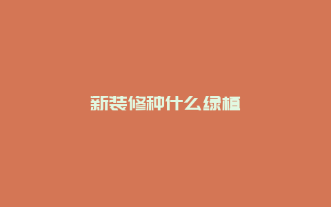 新装修种什么绿植