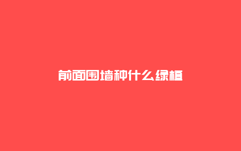 前面围墙种什么绿植