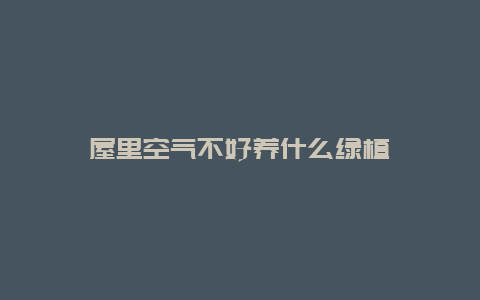 屋里空气不好养什么绿植