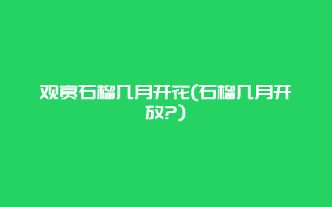 观赏石榴几月开花(石榴几月开放?)