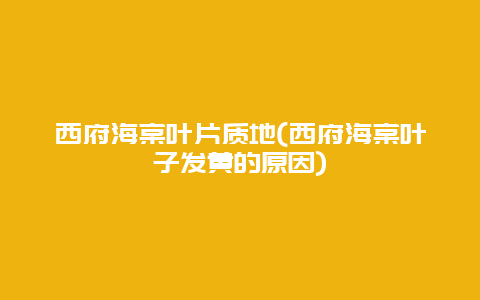 西府海棠叶片质地(西府海棠叶子发黄的原因)