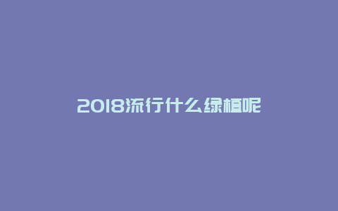 2018流行什么绿植呢