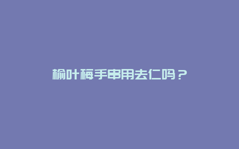 榆叶梅手串用去仁吗？