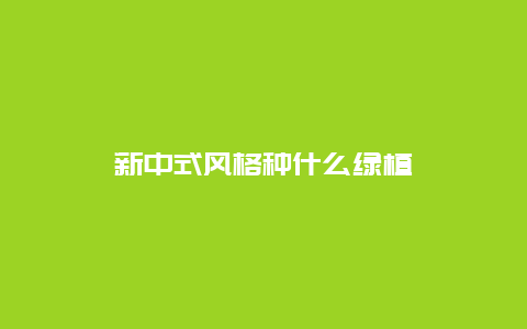 新中式风格种什么绿植