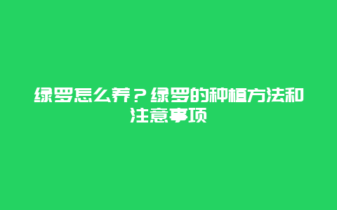 绿罗怎么养？绿罗的种植方法和注意事项