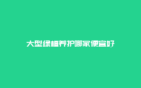 大型绿植养护哪家便宜好