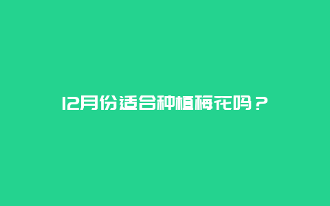 12月份适合种植梅花吗？