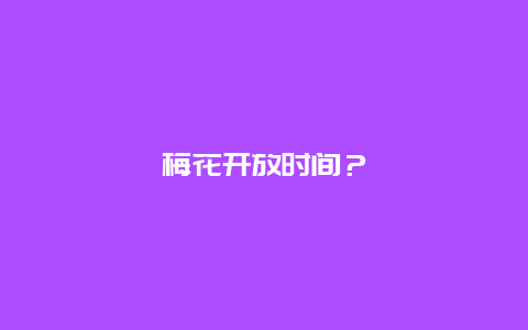 梅花开放时间？