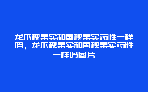 龙爪槐果实和国槐果实药性一样吗，龙爪槐果实和国槐果实药性一样吗图片