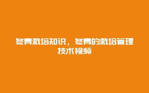 冬青栽培知识，冬青的栽培管理技术视频