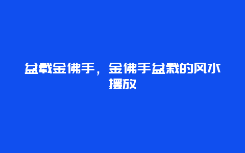 盆载金佛手，金佛手盆栽的风水摆放